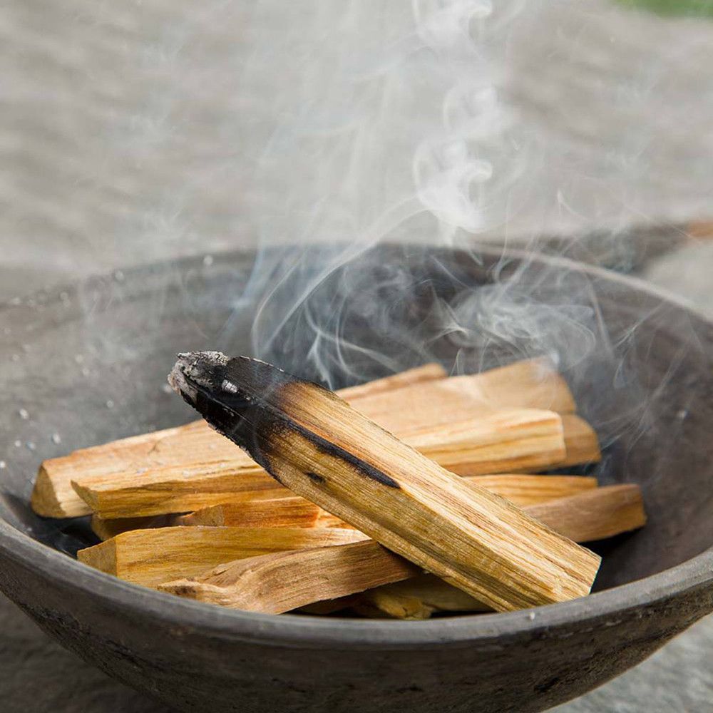 50g Palos de árbol verde de palo santos 5-8 Palitos
